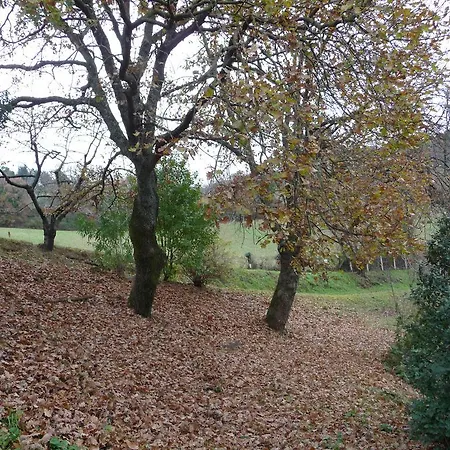 Holiday home Rubbiano House *