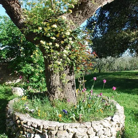 Rubbiano House Сполето