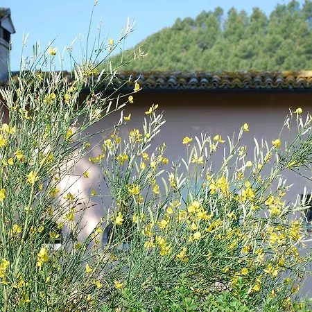Holiday home Rubbiano House Spoleto