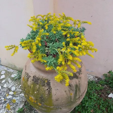 Rubbiano House Holiday home Spoleto